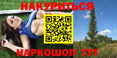 стаф Кунгур
