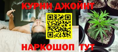 стаф Кунгур