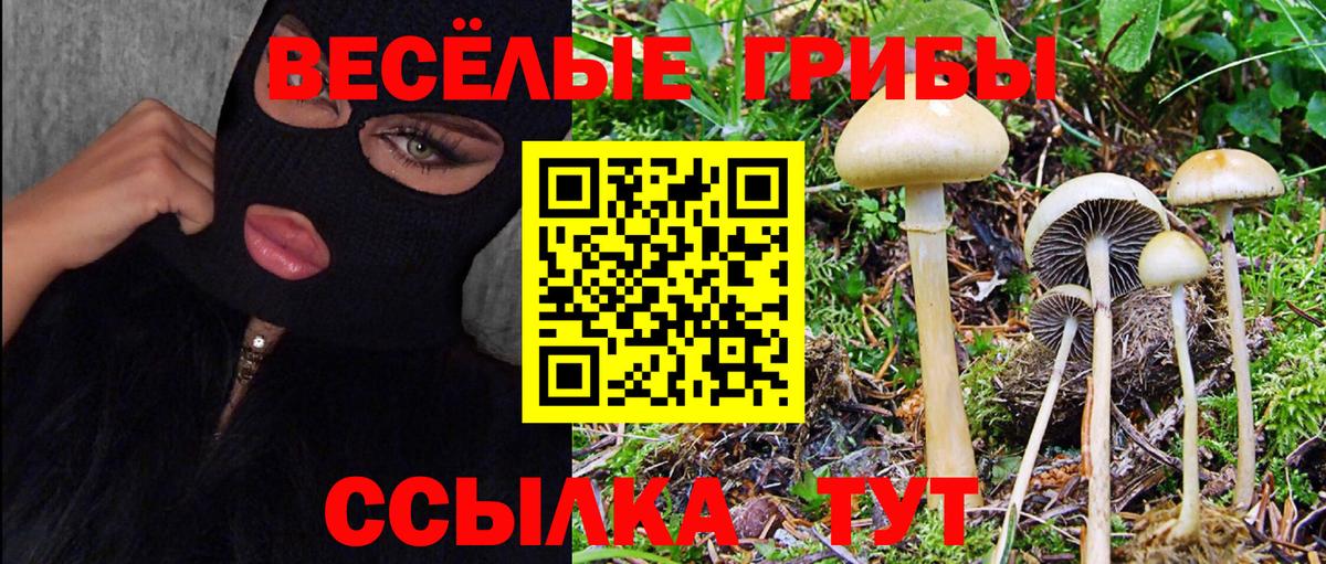 Псилоцибиновые грибы Cubensis Жуковский