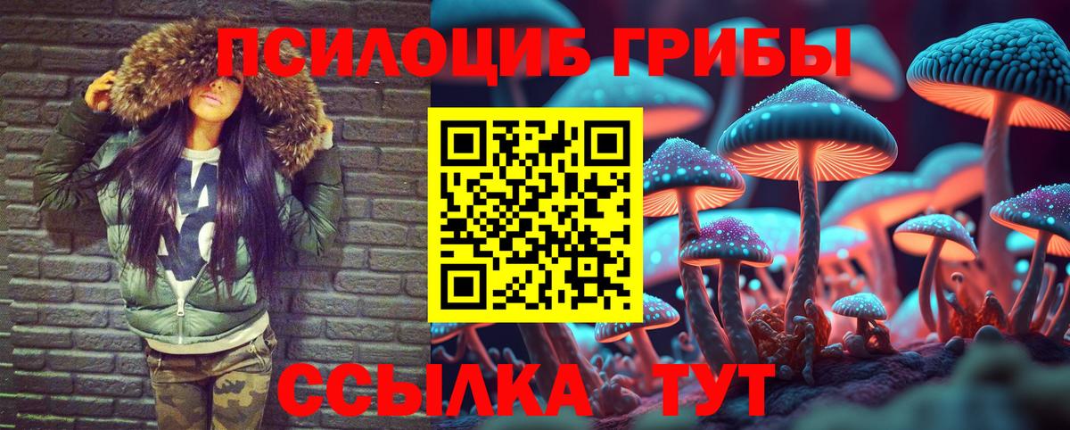 Псилоцибиновые грибы Psilocybe  Псилоцибиновые грибы Psilocybe  Жуковский  Вход с VPN 